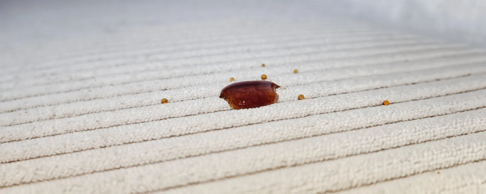 Wie imprägniert und schützt man einen Teppich, Teppichboden oder Stoff vor zukünftigen Flecken?